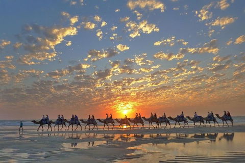 1 Hour Broome Sunset Camel Tour - Perth Resorts 1