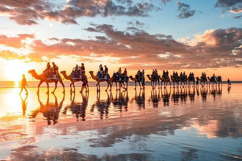 1 Hour Broome Sunset Camel Tour - Perth Resorts 2