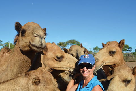1 Hour Broome Sunset Camel Tour - Perth Resorts 3