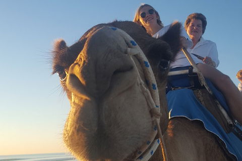 1 Hour Broome Sunset Camel Tour - Perth Resorts 4