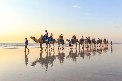 1 Hour Broome Sunset Camel Tour - Perth Resorts 5
