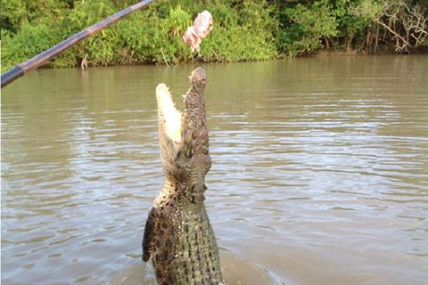 Litchfield National Park And Jumping Crocodile Cruise - Accommodation Perth 2