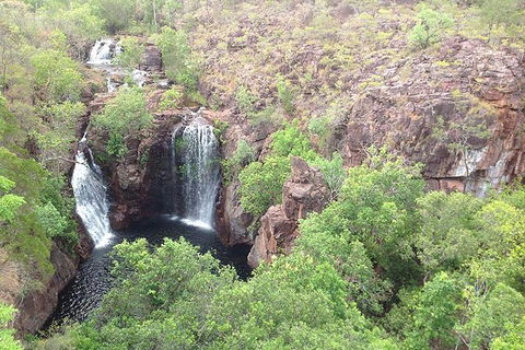 Litchfield National Park And Jumping Crocodile Cruise - Accommodation Perth 4
