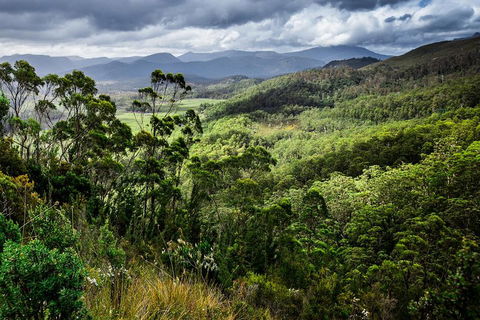 3-Day Tour To The Falls, Mountains, Lake & More Of West Coast Tasmania - Accommodation Perth 0