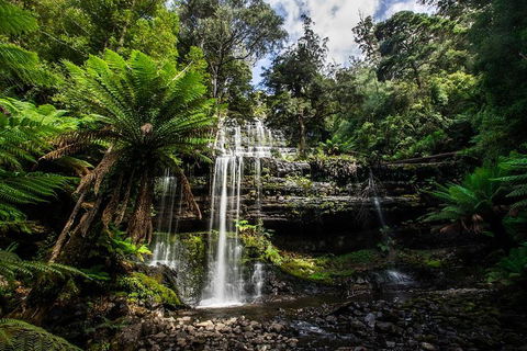 3-Day Tour To The Falls, Mountains, Lake & More Of West Coast Tasmania - Accommodation Perth 4