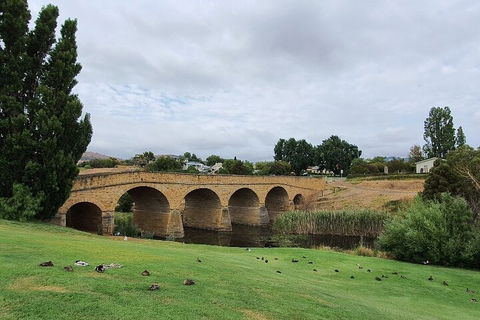 Port Arthur, Richmond And Tasman Peninsula Day Trip From Hobart - Accommodation Perth 3