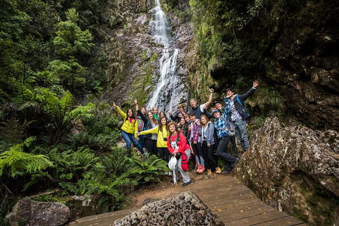 5-Day Lap Of Tasmania Tour From Hobart (flexible Ticket) - Accommodation Perth 0