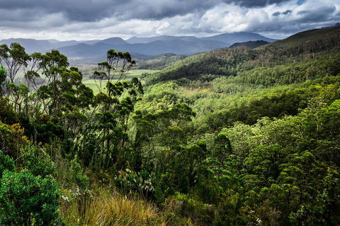 5-Day Lap Of Tasmania Tour From Hobart (flexible Ticket) - Accommodation Perth 2