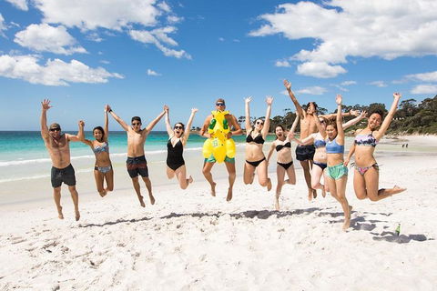 5-Day Lap Of Tasmania Tour From Hobart (flexible Ticket) - Accommodation Perth 4