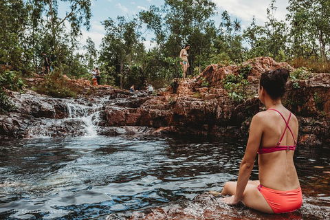 Litchfield National Park Day Tour From Darwin With Waterfalls And Buley Rockhole - Accommodation Perth 0