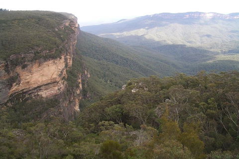 Full-Day Private Blue Mountains Tour With River Cruise - Accommodation Perth 3