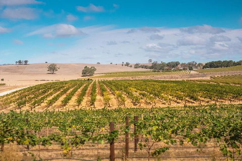 Barossa Valley Private Tour (from 2 To 11 People) - Perth Resorts 2