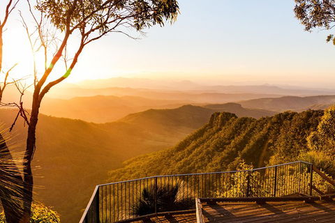 O'Reilly's & Lamington National Park Incl. Alpaca Farm + Vineyard - Accommodation Perth 0