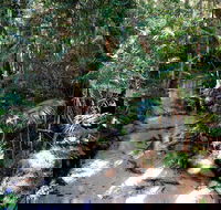 Fraser Island 4WD Tour from Rainbow Beach - Accommodation Perth