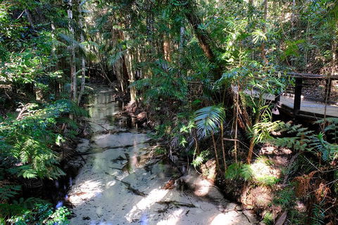 Fraser Island 4WD Tour From Rainbow Beach - Accommodation Perth 0