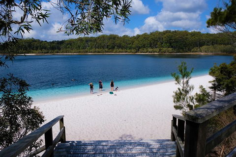 Fraser Island 4WD Tour From Rainbow Beach - Accommodation Perth 3