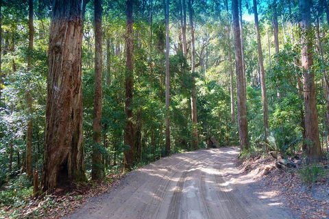Fraser Island 4WD Tour From Rainbow Beach - Accommodation Perth 4