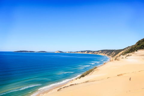 Kayak With Dolphins And 4WD Great Beach Drive Day Trip From Noosa - Accommodation Perth 0