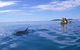 Kayak With Dolphins And 4WD Great Beach Drive Day Trip From Noosa - thumb 2