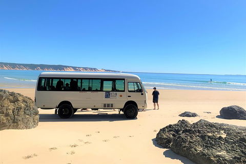 Kayak With Dolphins And 4WD Great Beach Drive Day Trip From Noosa - Accommodation Perth 4