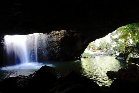 Rainforest & Waterfalls Extravaganza - Accommodation Perth 0