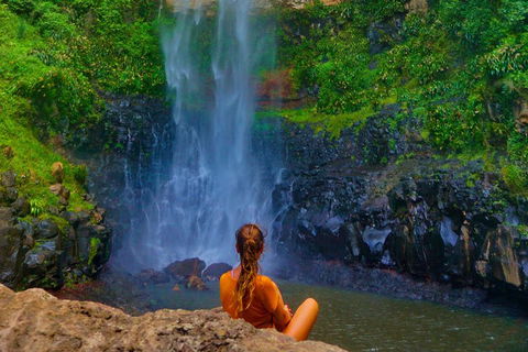 Rainforest & Waterfalls Extravaganza - Accommodation Perth 2