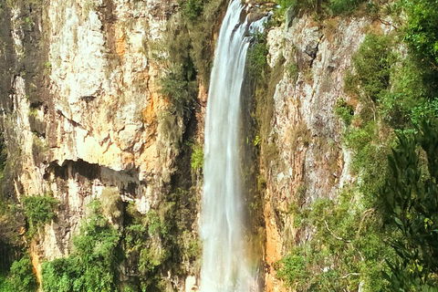 Natural Arch, Rainforest & Volcano Canyon - Private Half Day Tour - Accommodation Perth 2