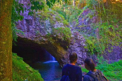 Natural Arch, Rainforest & Volcano Canyon - Private Half Day Tour - Accommodation Perth 4