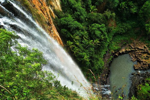 Natural Arch, Rainforest & Volcano Canyon - Private Half Day Tour - Accommodation Perth 5