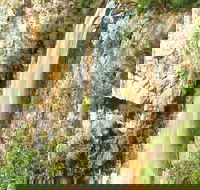 Private Tour - Rainforest  Waterfalls Extravaganza - Accommodation Perth