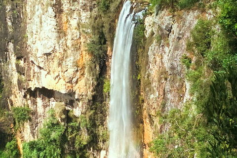 Private Tour - Rainforest & Waterfalls Extravaganza - Accommodation Perth 0