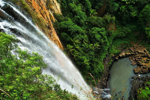 Private Tour - Rainforest & Waterfalls Extravaganza - Accommodation Perth 2