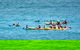 The Byron Bay Sea Kayak Tour - thumb 1