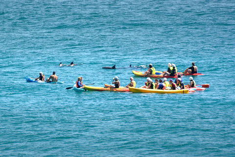 The Byron Bay Sea Kayak Tour - Accommodation Perth 1