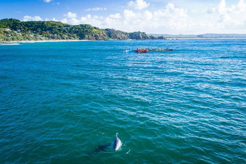 The Byron Bay Sea Kayak Tour - Accommodation Perth 2