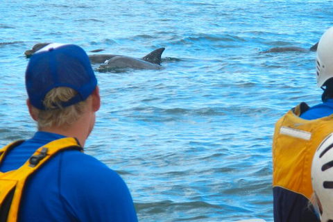The Byron Bay Sea Kayak Tour - Accommodation Perth 4