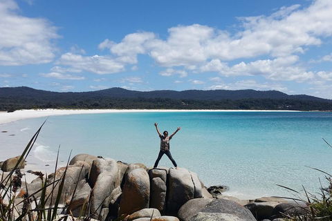 Tasmania 4 Day East Coast + Launceston - Accommodation Perth 1