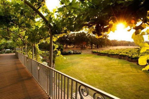 Busselton Jetty + Train Ride + Winery + Scenic Drive Full Day Tour - Accommodation Perth 1