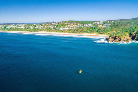 Noosa Oceanrider Scenic Dolphin Safari - Accommodation Perth 4