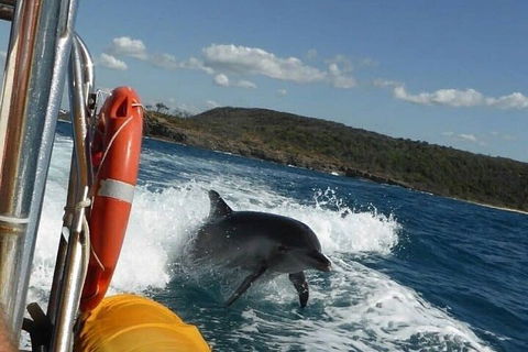 Noosa Oceanrider - Adventure Tour - Accommodation Perth 1