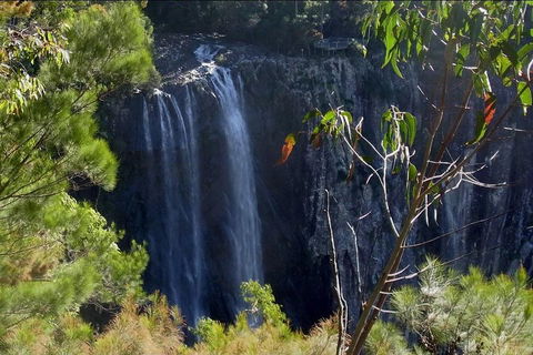 Byron Bay Hinterland Tour Including Rainforest Walk To Minyon Falls - Accommodation Perth 0