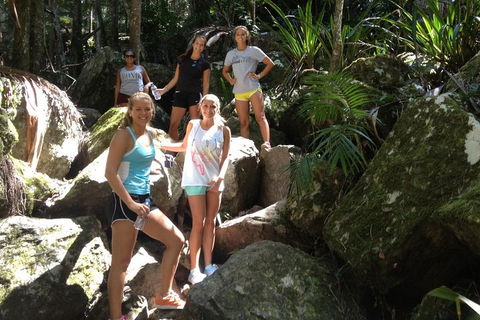 Byron Bay Combo: Hinterland Tour Including Minyon Falls And Kayaking With Dolphins - Accommodation Perth 4