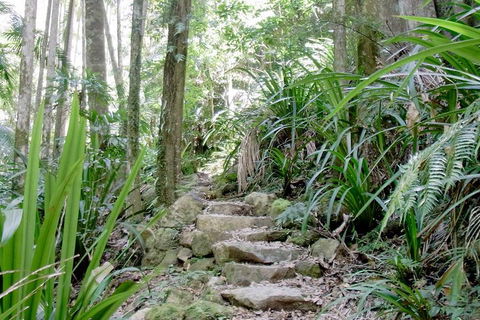 Byron Bay Combo: Hinterland Tour Including Minyon Falls And Kayaking With Dolphins - Accommodation Perth 5