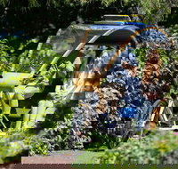 Adelaide 90-Minute Pedicab Tour Scenic Green  River Experience - Perth Resorts