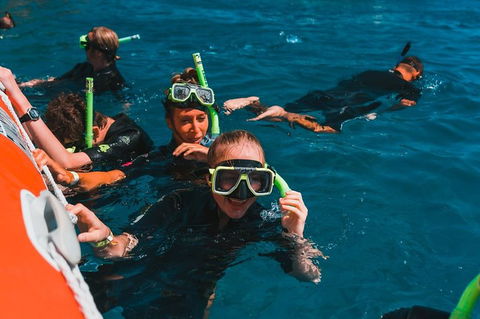 Whitehaven Beach And Hill Inlet Lookout Full-Day Snorkeling Cruise By High-Speed Catamaran - Accommodation Perth 3