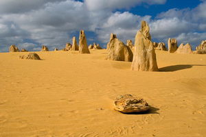 The Pinnacles, Sea and Dunescapes, Bush Reserve and Sunset Day Tour