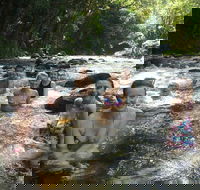 Daintree Rainforest Cape Tribulation Mossman Gorge Small-Group Day Tour - Accommodation Perth