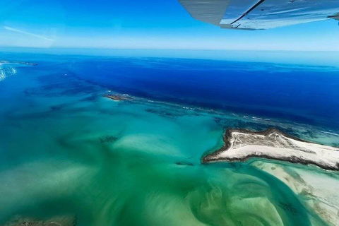Wet Season Incredible Islands Tour - Horizontal Falls & Cygnet Bay Pearl Farm - Accommodation Perth 4