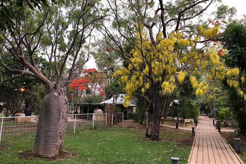 Wet Season Mitchell Falls Tour - Mitchell Falls, Horizontal Falls & Cygnet Bay - Accommodation Perth 1