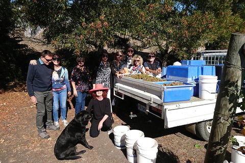 Valleys Of Vino Tour - Perth Resorts 1